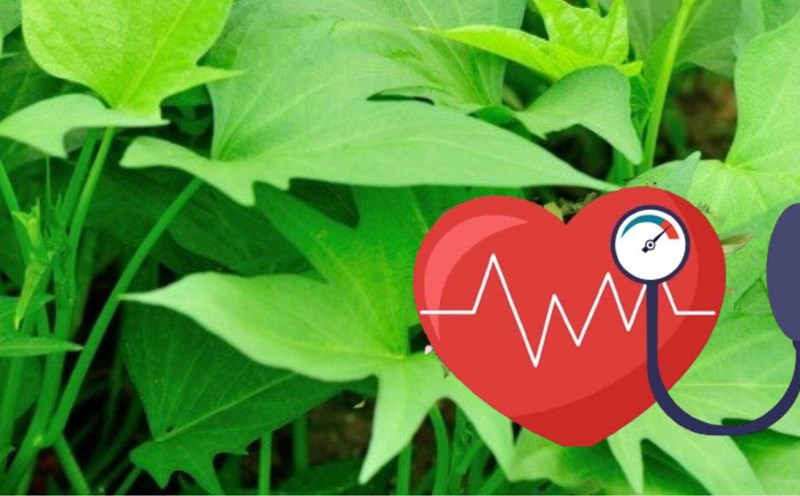 Vegetables to add to meals to help people with high blood pressure stabilize the cardiovascular system