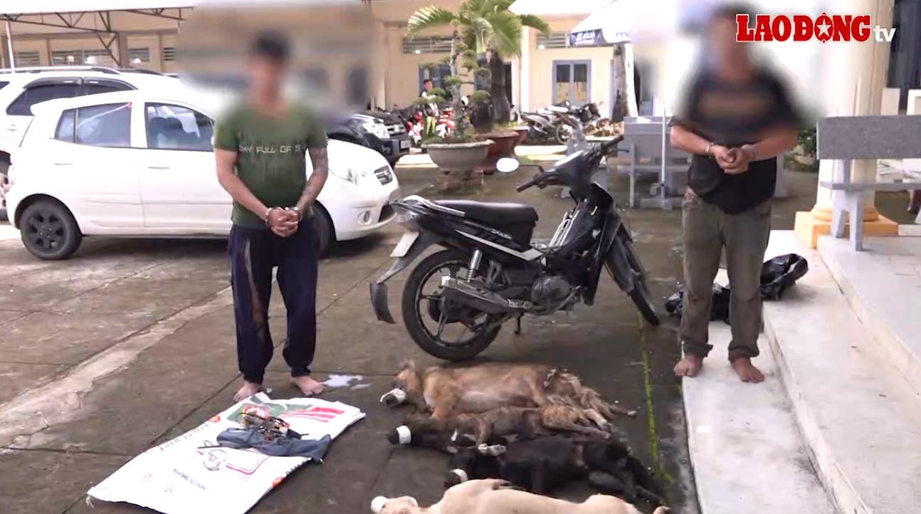 브엉과 뇨는 개를 훔치러 갔다가 공안에 현행범으로 체포되었습니다.