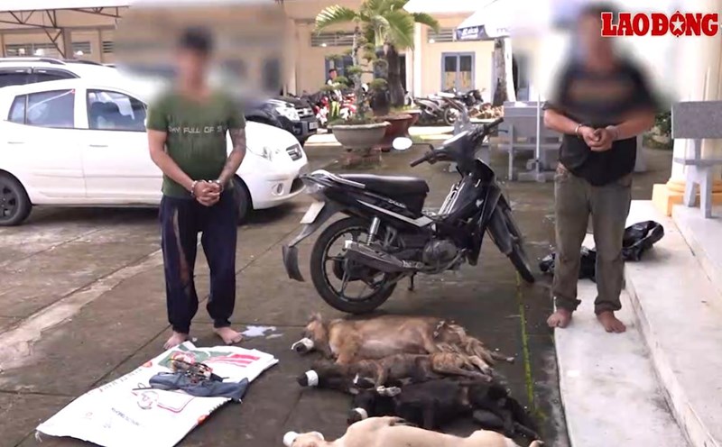 Vuong and Nho were caught red-handed by the police while stealing dogs.