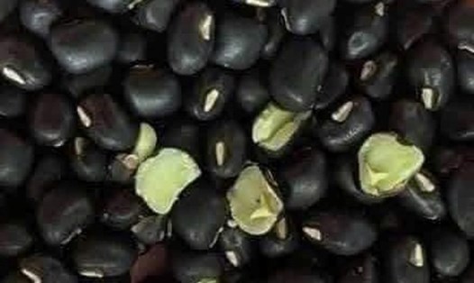 Đậu đen là nguồn cung cấp protein lành mạnh qua nhiều cách chế biến. Ảnh: Kiều Vũ
