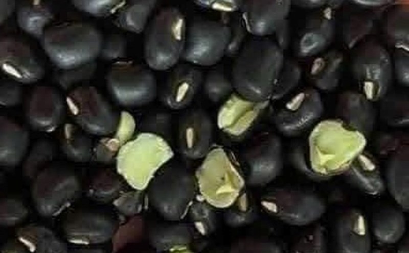 Black beans are a healthy source of protein through many ways of preparation. Photo: Kieu Vu