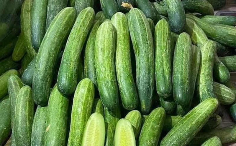 Cucumbers can effectively help reduce uric acid. Photo: Kieu Vu