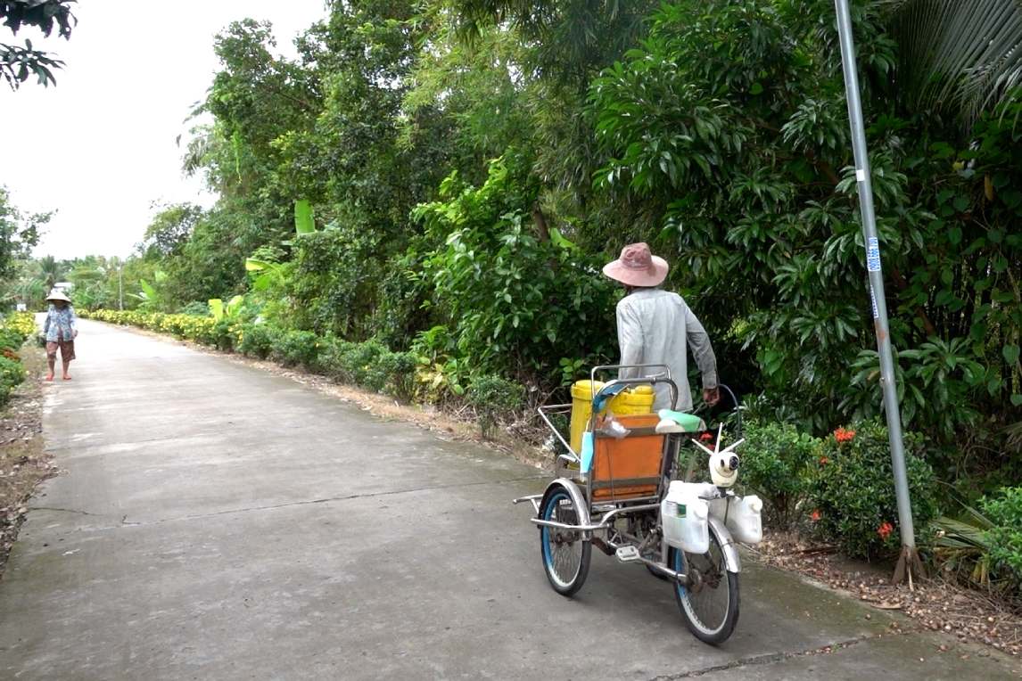 Ngay ngay cu Hong rong ruoi di lam dep cho que huong. Anh: Ta Quang