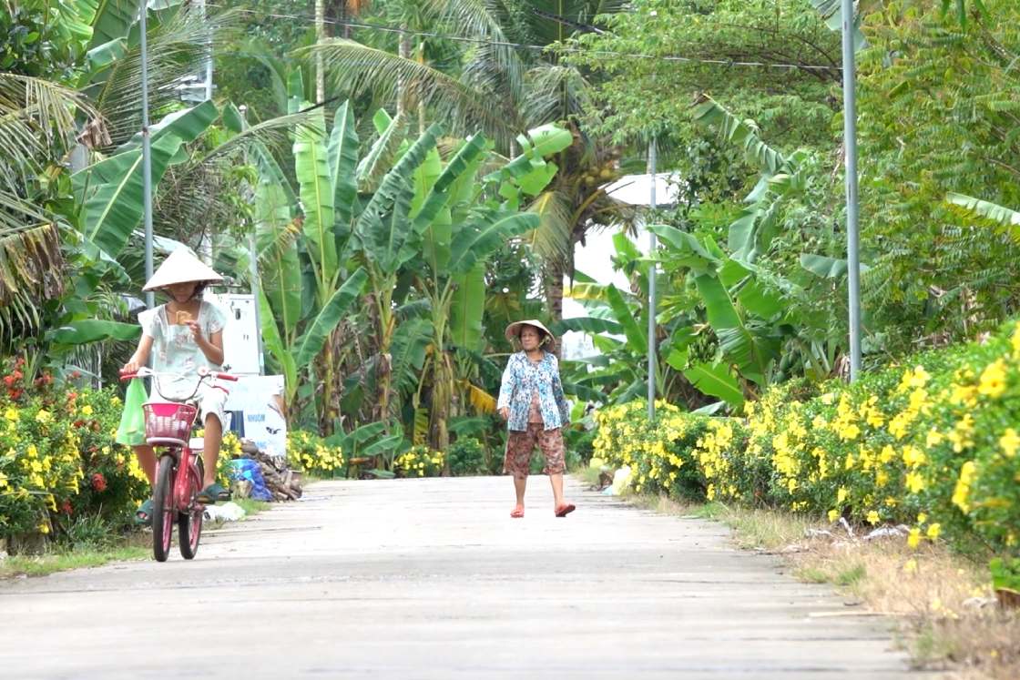Con duong rop bong cay xanh va hoa. Anh: Ta Quang