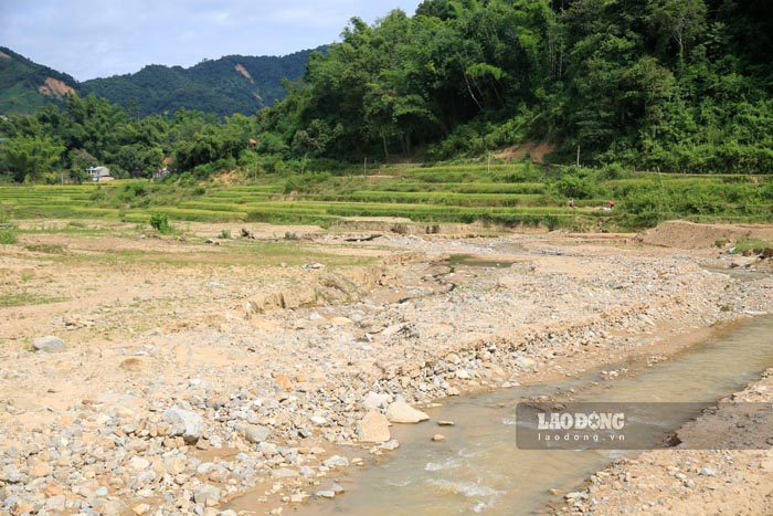 디엔비엔 농부들은 홍수 후 황폐해진 논밭을 슬프게 바라보고 있습니다. 사진: 꽝 닷