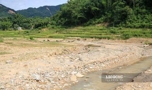 Nông dân Điện Biên ngậm ngùi nhìn ruộng đồng tan hoang sau lũ. Ảnh: Quang Đạt