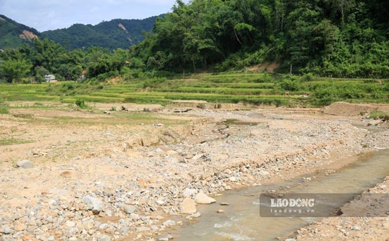 Dien Bien farmers sadly watch their fields devastated after the flood. Photo: Quang Dat