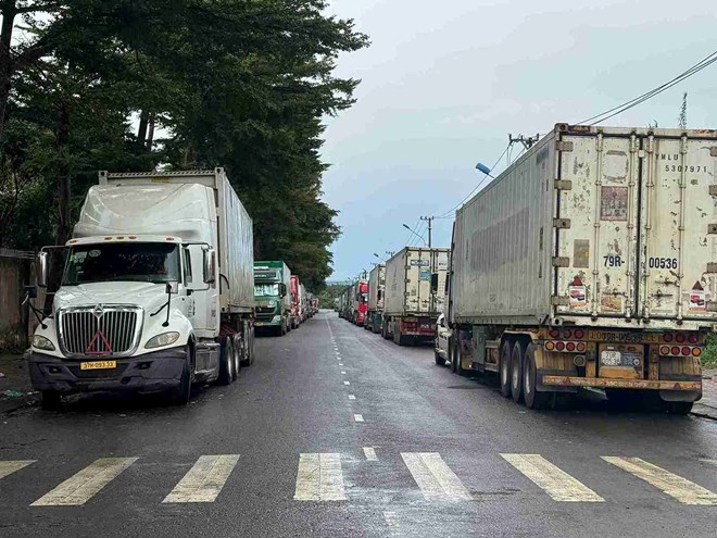 Durian trucks are congested in Dak Lak province due to obstacles in the export process. Photo: Bao Trung