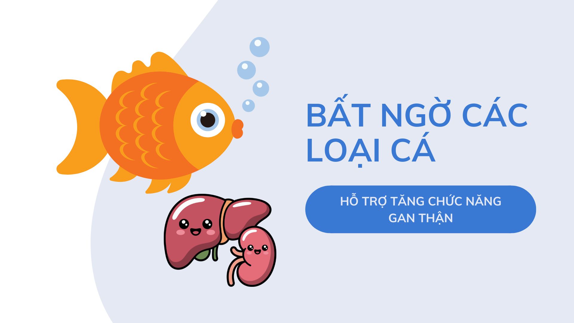 Unexpected types of fish that help increase liver and kidney function