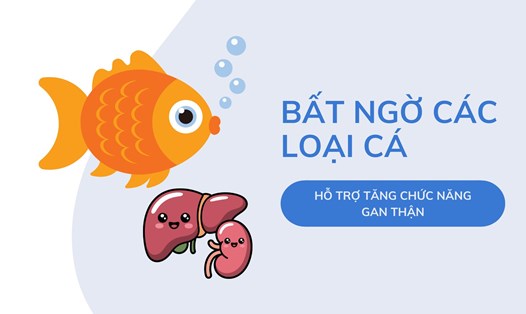 Bất ngờ các loại cá hỗ trợ tăng chức năng gan thận