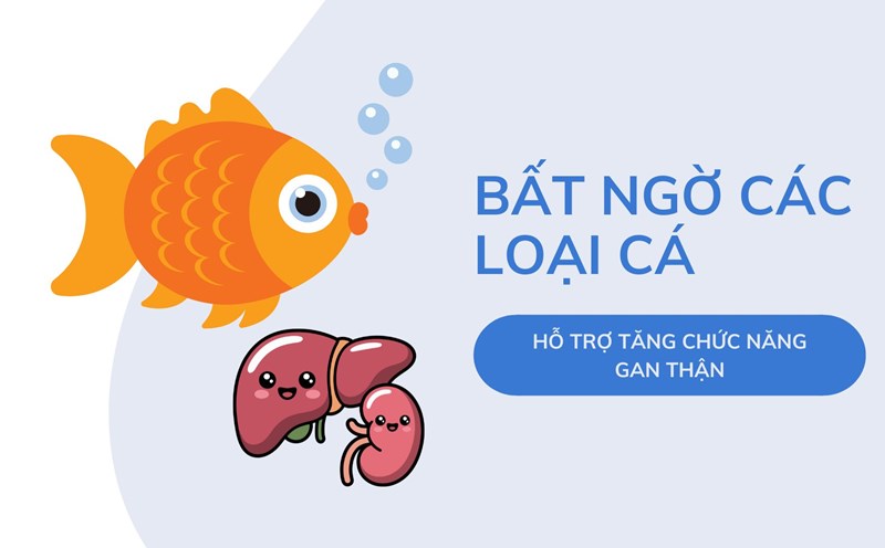Unexpected types of fish that help increase liver and kidney function