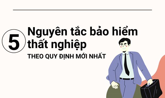 5 nguyên tắc bảo hiểm thất nghiệp theo quy định mới nhất