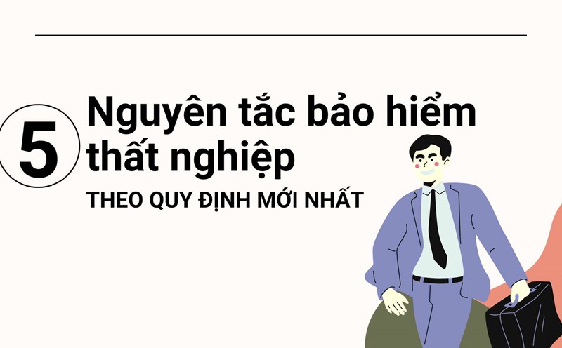 5 principles of unemployment insurance according to the latest regulations