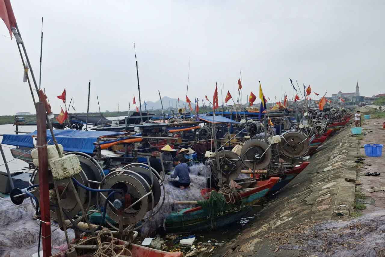 Nhieu tau cap ben o khu neo dau Cua Sot trung dam ghe bien. Anh: Tran Tuan.