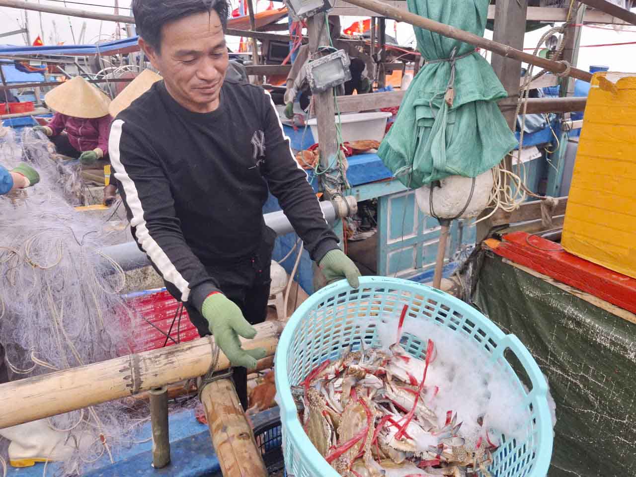 Ngu dan Le ben thanh qua nhung mo ghe vua duoc go ra khoi luoi. Anh: Tran Tuan.