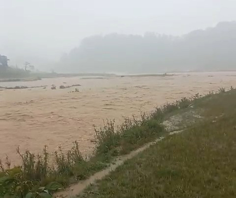 Nhieu dien tich hoa mau chim trong bien nuoc. Anh: Khanh Duy 