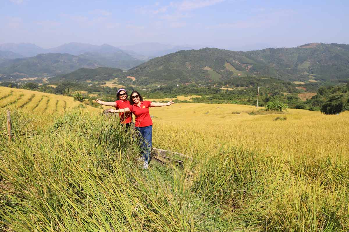 Tourists take photos with golden ripe rice on terraced fields in Luc Hon commune, Quang Ninh province. Photo: Doan Hung