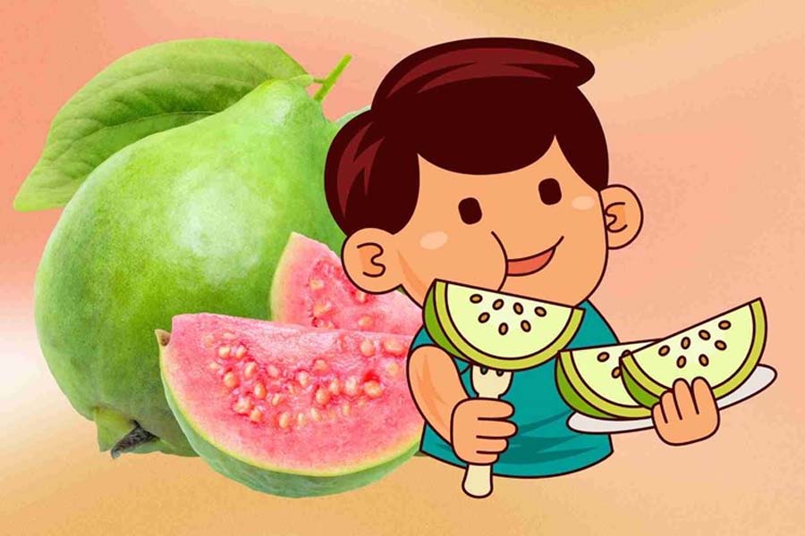 Guava is a diabetes-friendly fruit. Graphics: Dinh Hiep