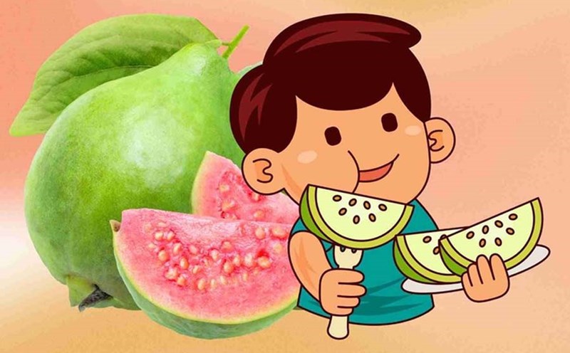 Guava is a diabetes-friendly fruit. Graphics: Dinh Hiep