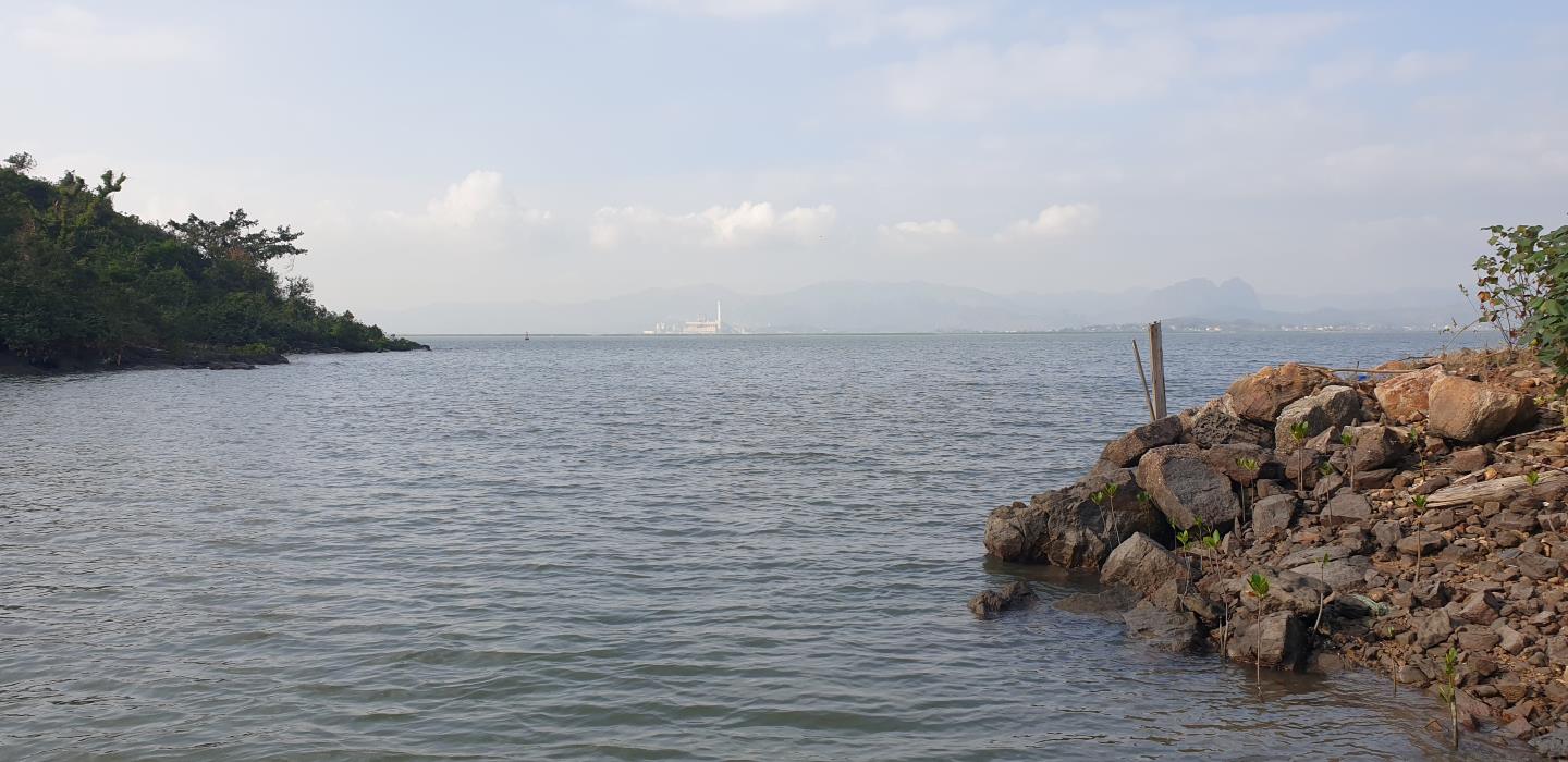 クアンニン省はクアラック湾周辺の多数の海岸道路の建設に投資する予定だ。写真: グエン・フン