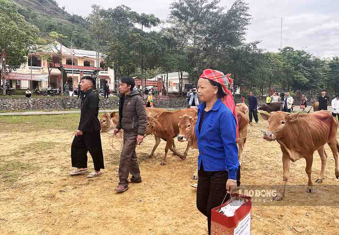 Voi su chung tay cua cac to chuc chinh tri xa hoi, doan the, cong tac giam ngheo tai Tuyen Quang da dat nhieu ket qua tich cuc, ben vung. Anh: Nguyen Tung.