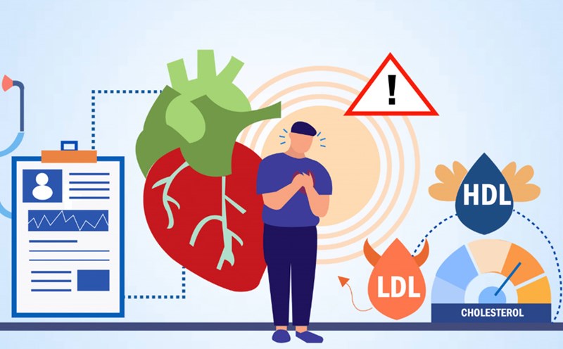 The importance of early cholesterol screening for young people. Graphics: Thien Nhan