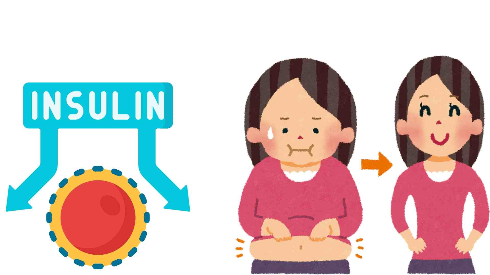 Insulin resistance affects the weight loss process. Graphics: Ha May