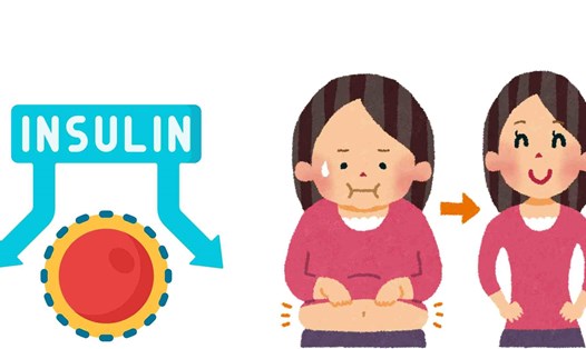 Kháng insulin có ảnh hưởng đến quá trình giảm cân. Đồ họa: Hạ Mây