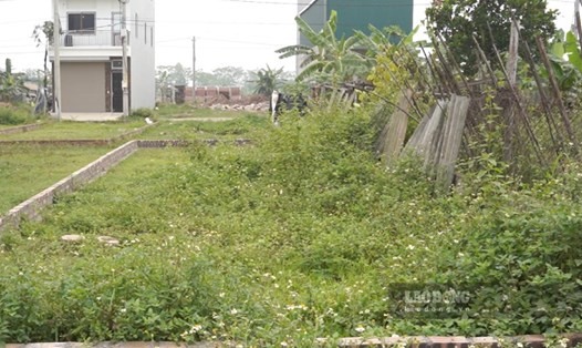 Theo quy định, đất hết thời hạn sử dụng không được tách thửa, hợp thửa. Ảnh: Như Hạ