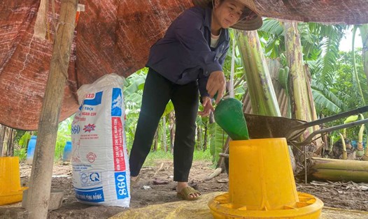 Bà Trần Thị Thanh Hải tất bật với công việc tại trang trại chăn nuôi ở xã Phú Thái, Hải Phòng. Ảnh: Nam Triệu