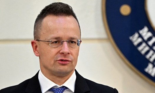 Ngoại trưởng Hungary Peter Szijjarto. Ảnh: AFP