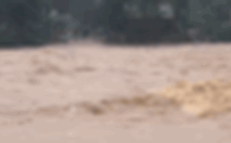 Heavy rain caused disruption of many border routes in Quang Tri. Photo: Quang Tri Border Guard