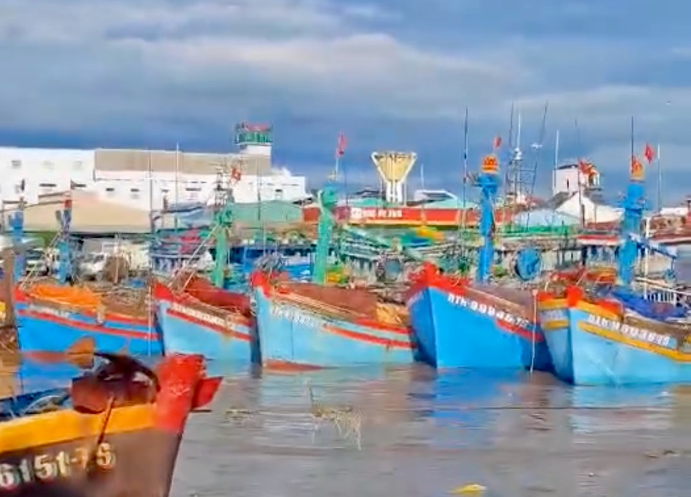 Cluster of 7 fishing boats drifted freely to Phan Thiet port. Photo: Duy Tuan