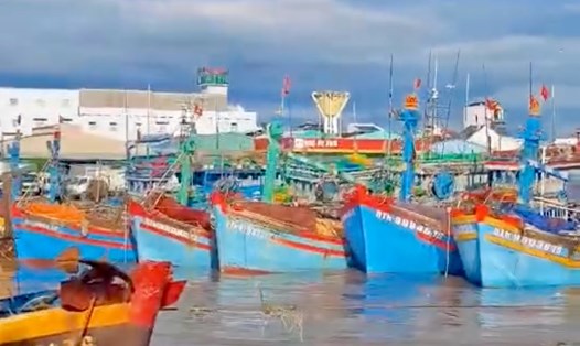 Cụm 7 tàu cá bị cuốn trôi tự do ra cửa cảng Phan Thiết. Ảnh: Duy Tuấn