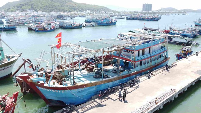 Khanh Hoa provincial authorities strictly manage fishing vessels under 6 meters and vessels serving aquaculture. Photo: Huu Long