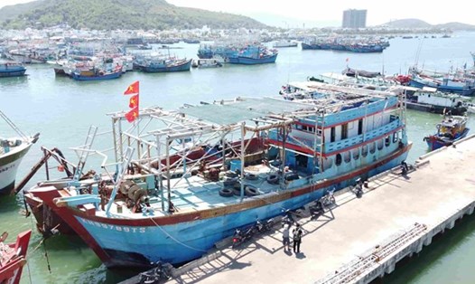 Cơ quan chức năng tỉnh Khánh Hòa quản lý chặt tàu cá dưới 6 mét và tàu phục vụ nuôi trồng thủy sản. Ảnh: Hữu Long