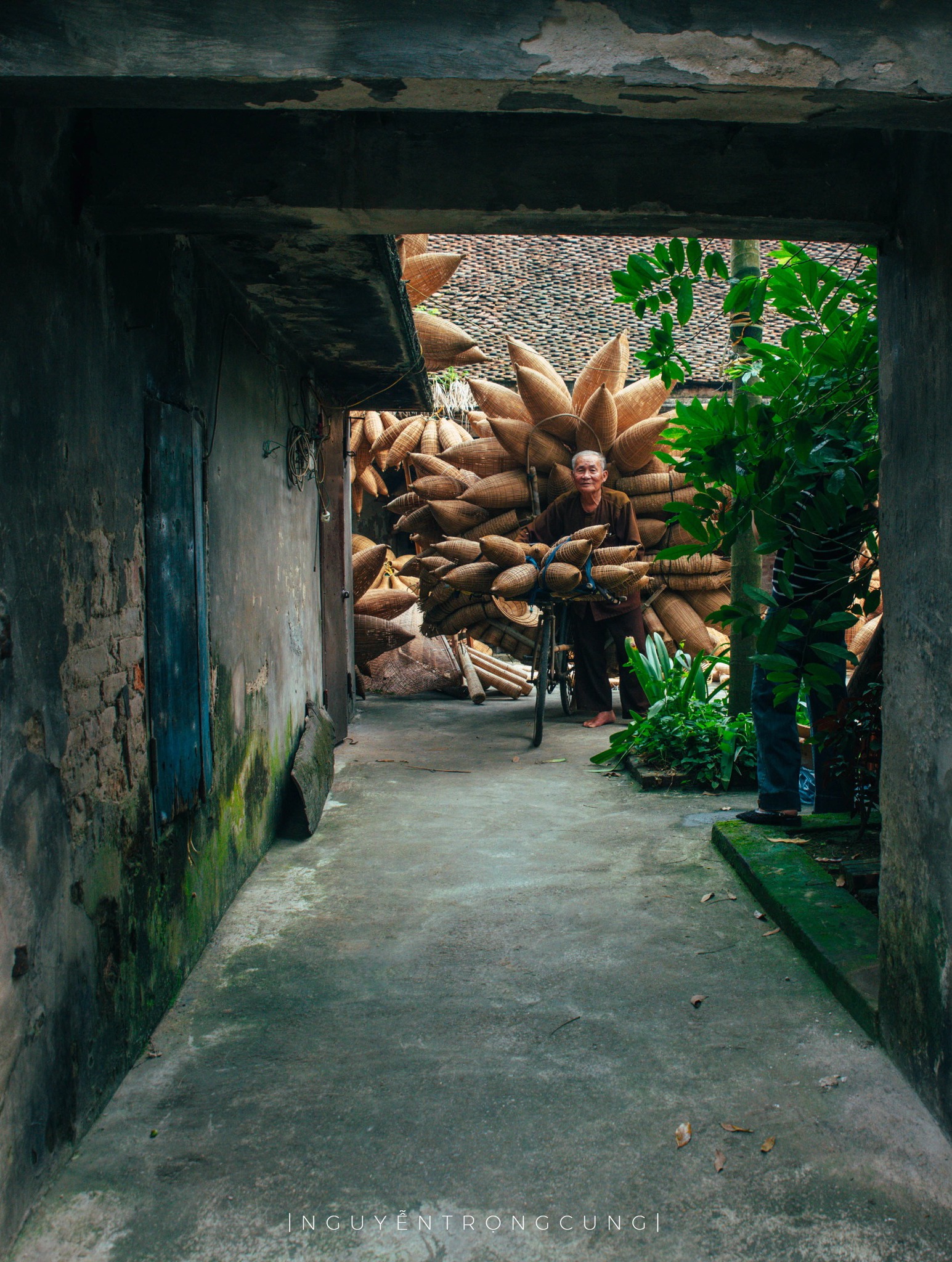 Fotografie: Nguyen Trong Cung