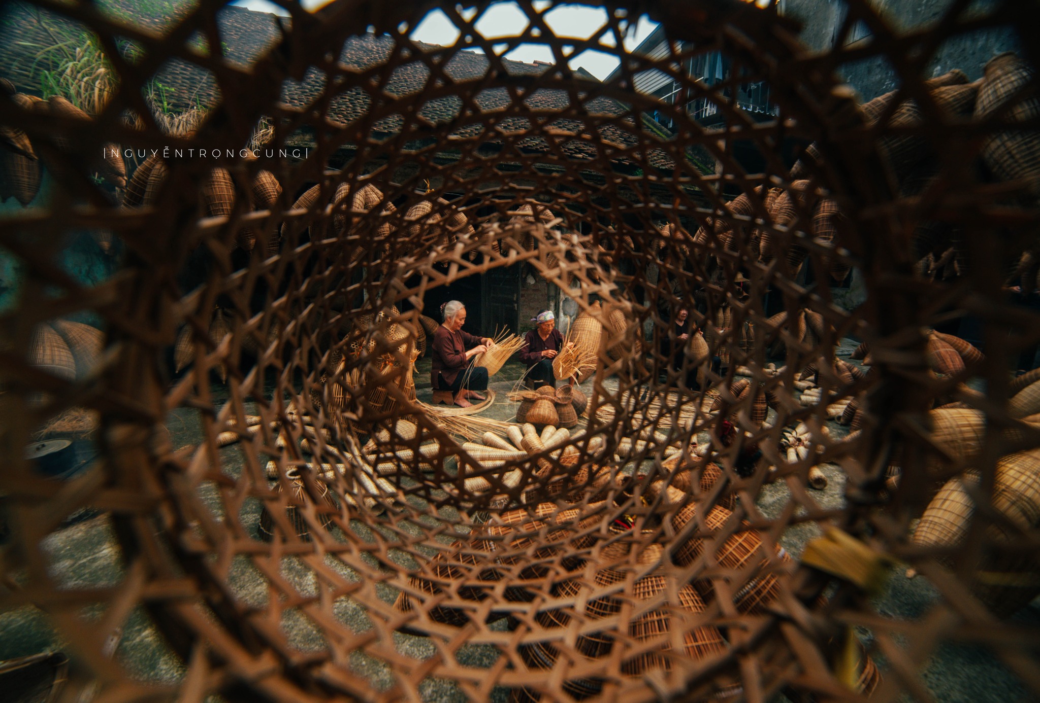 Fotografie: Nguyen Trong Cung