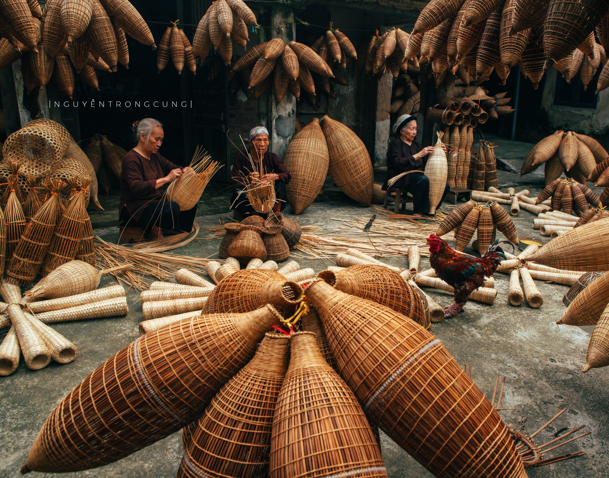 Fotografie: Nguyen Trong Cung