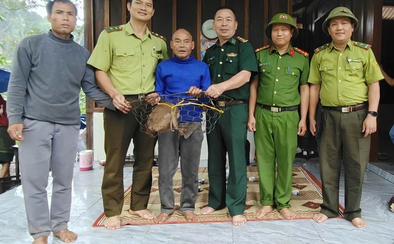 The rare pig-tailed monkey was handed over to the authorities. Photo: Xuan Binh