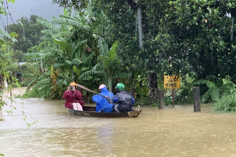 People rowed boats to move cows to high ground to avoid flooding in Da Nang. Photo: Tran Thi