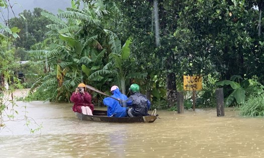 Người dân chèo ghe di chuyển, đưa bò lên khu vực cao tránh lũ ở Đà Nẵng. Ảnh: Trần Thi