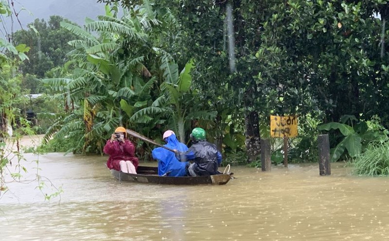People rowed boats to move cows to high ground to avoid flooding in Da Nang. Photo: Tran Thi