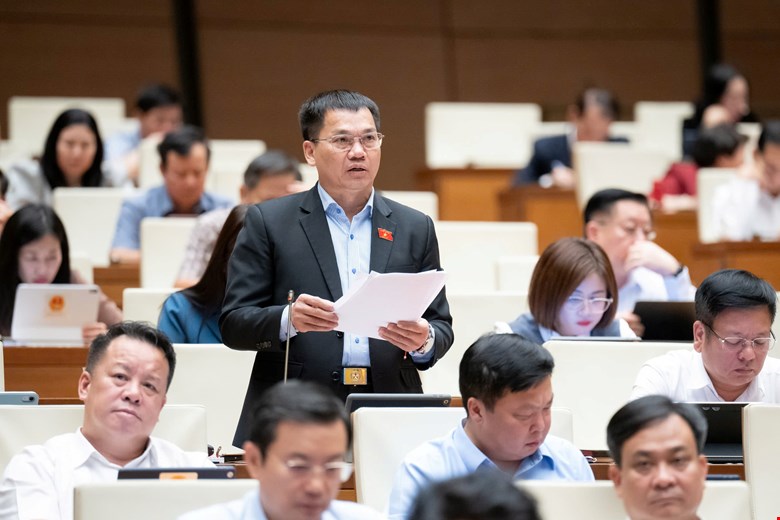 Dai bieu Quoc hoi Duong Khac Mai. Anh: Quochoi.vn