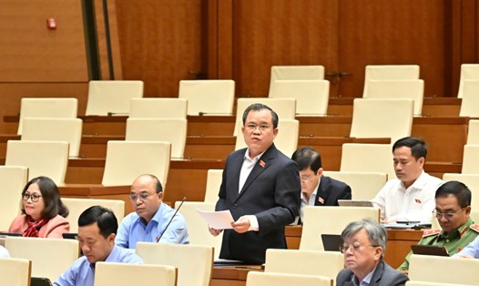 Đại biểu Quốc hội Nguyễn Tâm Hùng (Đoàn TPHCM) thảo luận về dự thảo Luật Tình trạng khẩn cấp. Ảnh: Phạm Đông