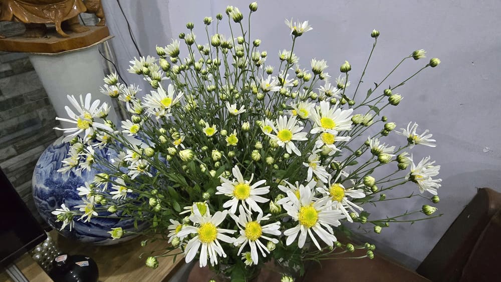 Zucchini is one of the flowers that are suitable for decorating the house in the cold autumn weather. Photo: Tuan Dat