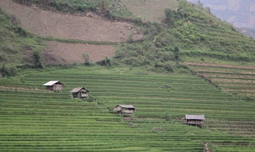 Người dân phát hiện phần đất cấp trên sổ đỏ không trùng với thực tế phải giải quyết như thế nào? Ảnh: Xuyên Đông