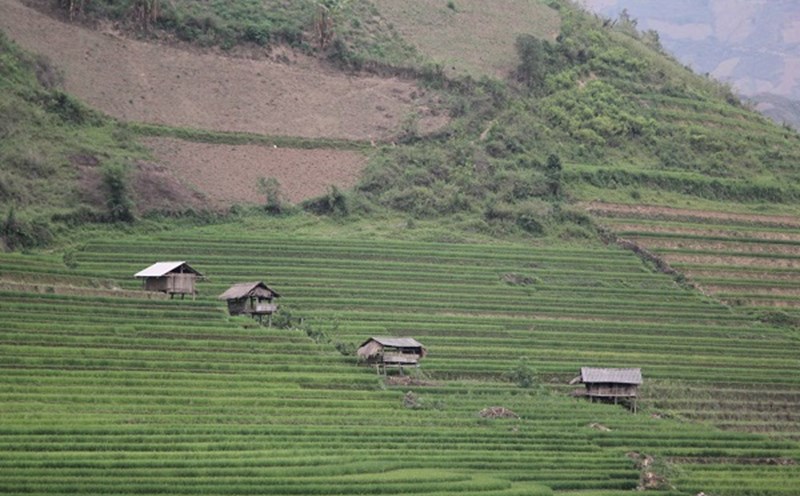 How should people resolve the issue of land granted on the red book if it does not match the reality? Photo: Xuyen Dong