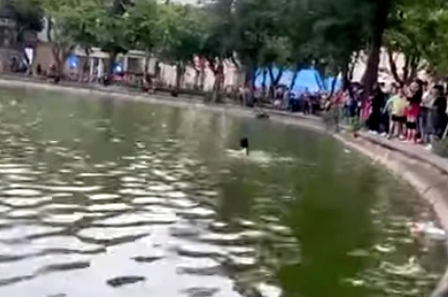 사건은 10월 25일 아침 호안끼엠 호수(하노이)에서 발생했습니다. 사진: S.Lam