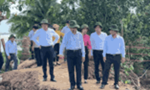 Bí thư Tỉnh ủy Vĩnh Long Trần Văn Lâu (hàng trước, bìa trái) kiểm tra thực tế điểm sạt lở, vỡ đê tại cồn Thanh Long, xã Quới Thiện. Ảnh: Hoàng Lộc